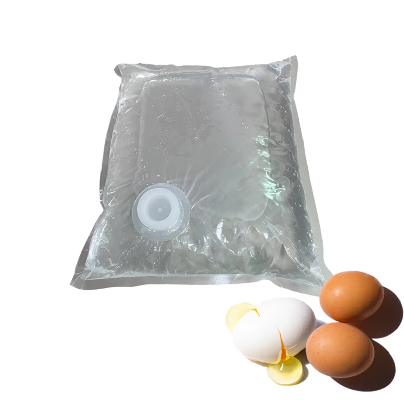 Transparent Bag in Box 10L